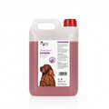 CHAMPÚ KERATINA 5.000ml
