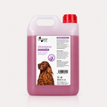 Champú para perros y garos Keratina DoggyCare 5.000ml
